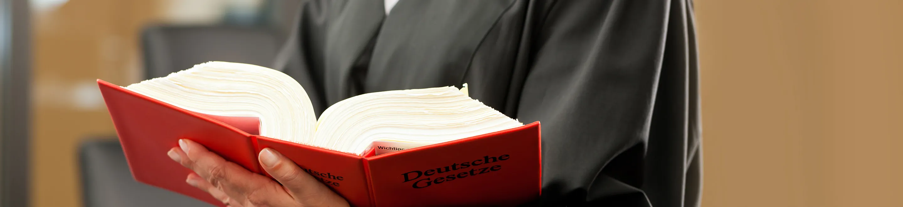 Hände, die ein dickes Buch mit der Aufschrift "Deutsches Gesetz" tragen.