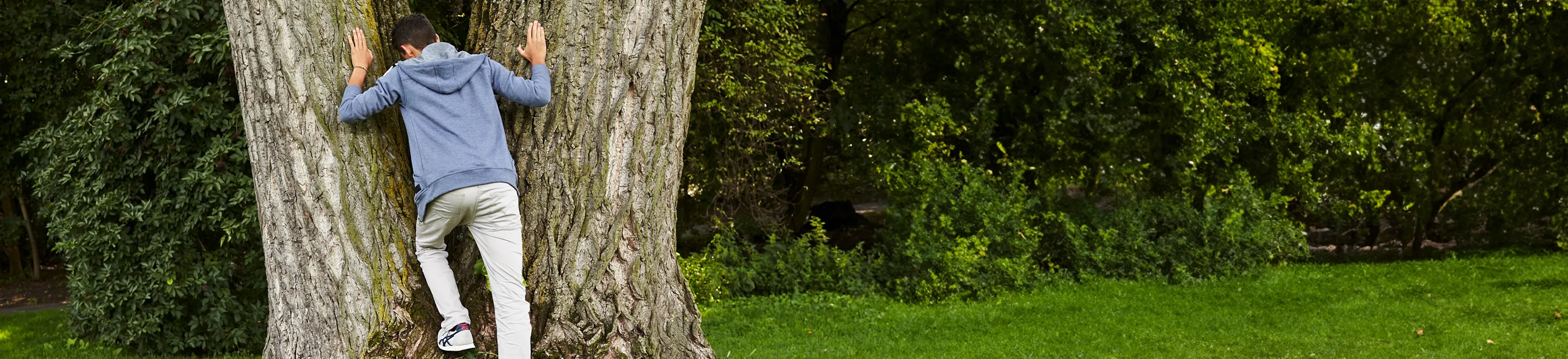 Ein junger Mann steht mit dem Gesicht vor einem dicken Baum, dessen Stamm sich gabelt.