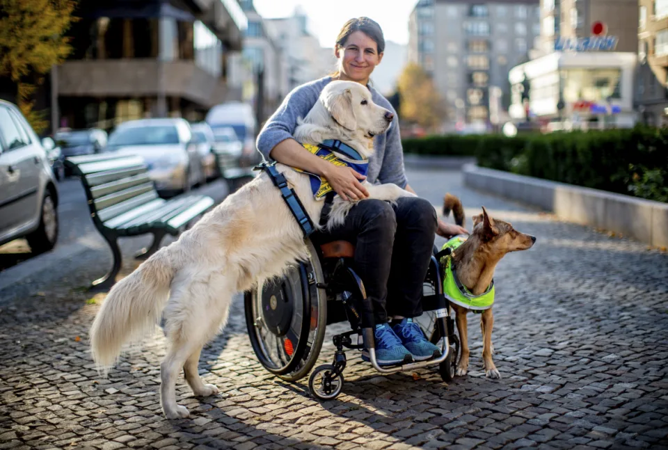 Eine junge Frau, die im Rollstuhl sitzt, mit zwei Begleithunden.