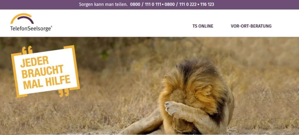 Ansicht der Internetseite Telefonseelsorge online.