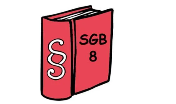 Ein Buch, auf dem SGB 8 steht.